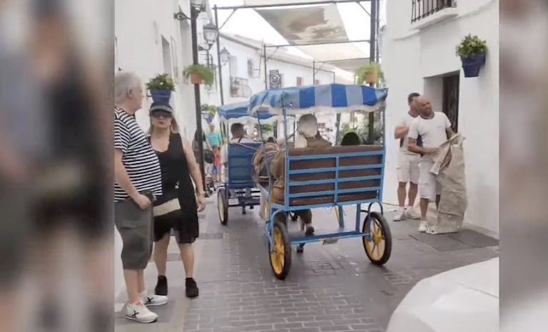 PACMA denuncia que equinos siguieron trabajando en Mijas pese a la alerta naranja por calor - Denuncia PACMA Imagen de un vídeo publicado por PACMA Mijas