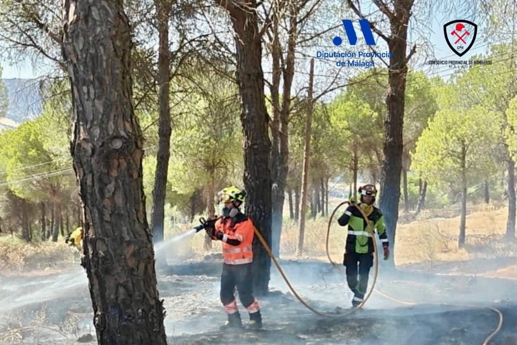 Dos incendios movilizan a los bomberos en Cártama y Ronda en pocas horas - Incendio Cartama Incendio forestal declarado en un pinar del Parque Periurbano Dehesa del Mercadillo en Ronda