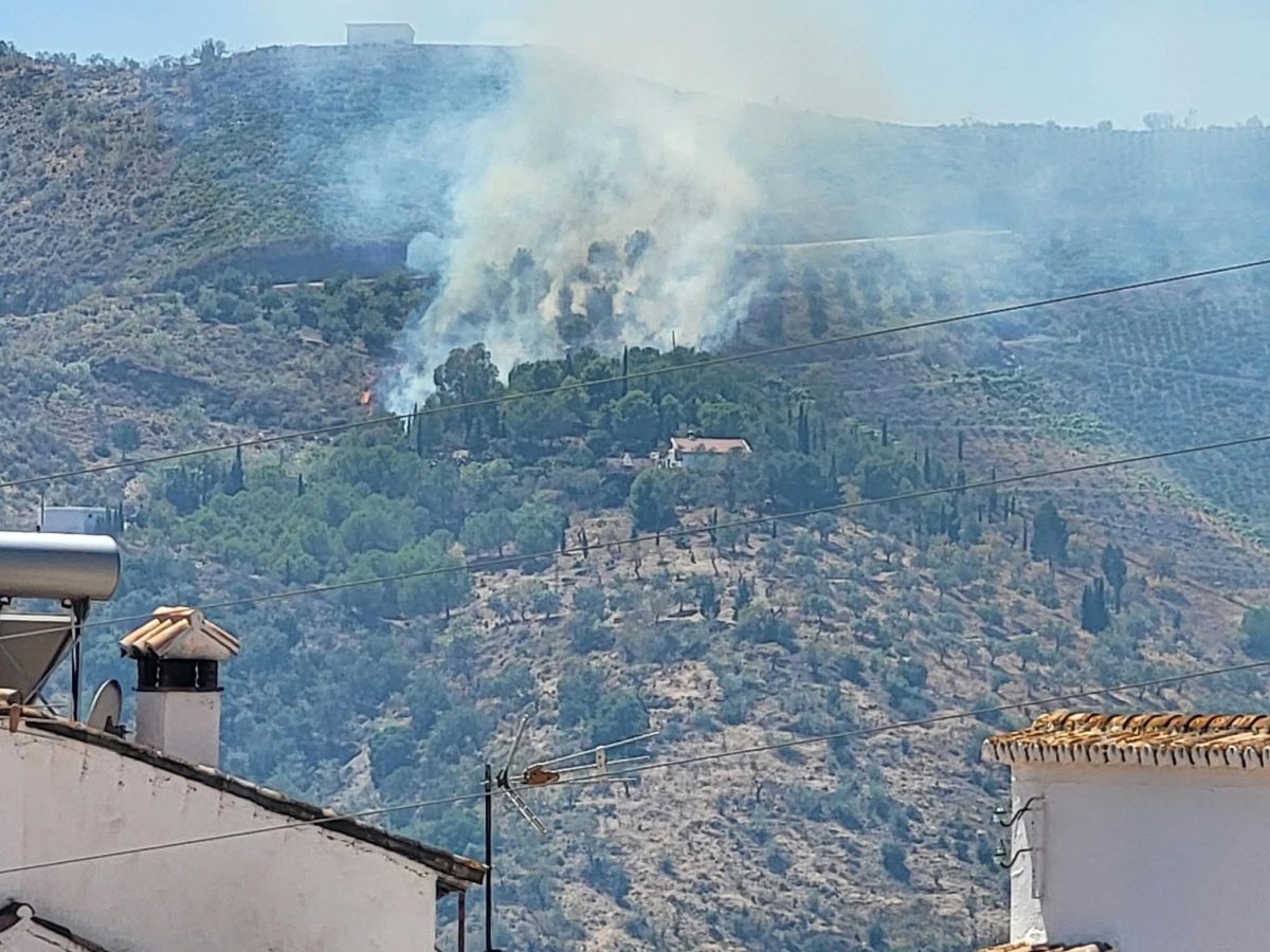 Controlado el incendio forestal declarado en Macharaviaya, Axarquía