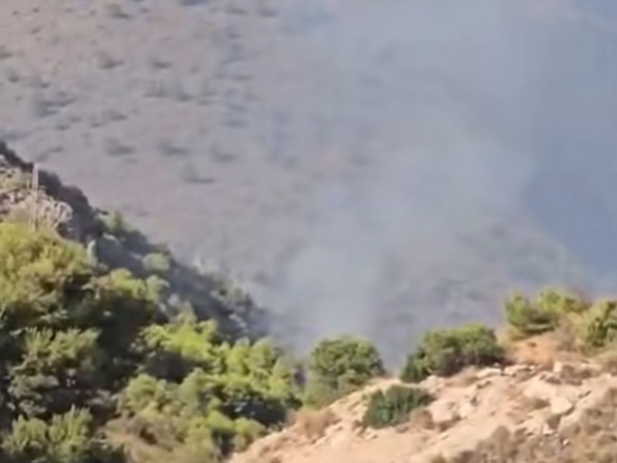Declarado un incendio forestal en Nerja