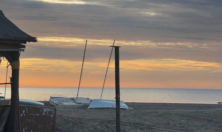 Seis playas de Málaga, cerradas al baño tras detectarse la bacteria E. coli en el agua