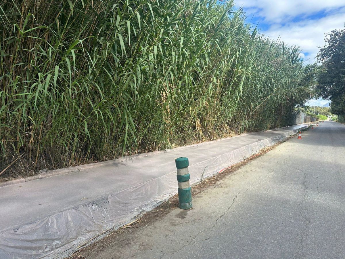 Casares avanza en la renovación del sendero del Papudo con el hormigonado de su segundo tramo - sendero papudo casares Casares avanza en la renovación del sendero del Papudo con el hormigonado de su segundo tramo